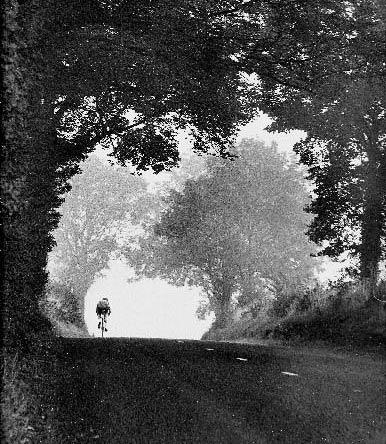 Cyclist in Shadow