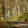 autumn cycling