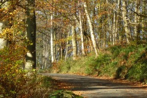 autumn cycling