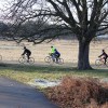 richmond park