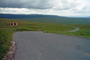 fleet moss