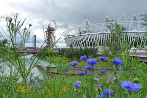 olympic-park