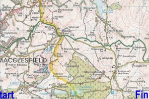 macclesfield cat and fiddle