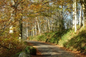 autumn
