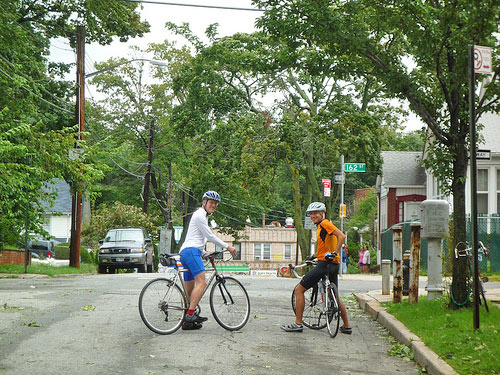 ny-cyclists-tree