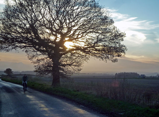 lonely-cyclist-tree-sun-dark